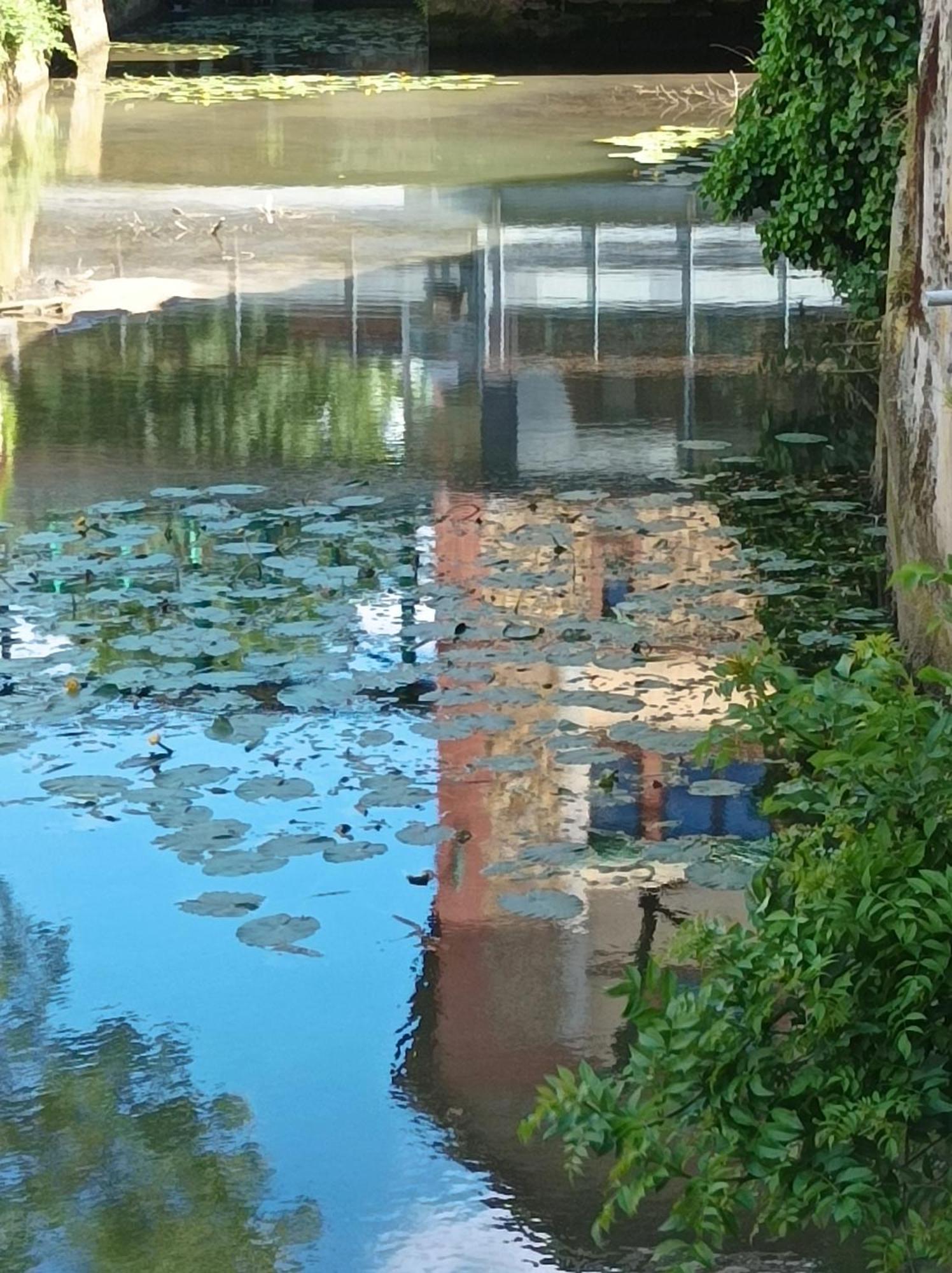 La Maison Au Bord De L'Eau Gracay Luaran gambar